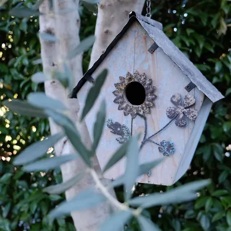 Fontanelle Romane * Roma