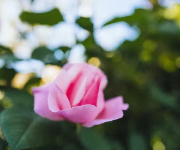 Fontanelle Romane Nocleg ze śniadaniem